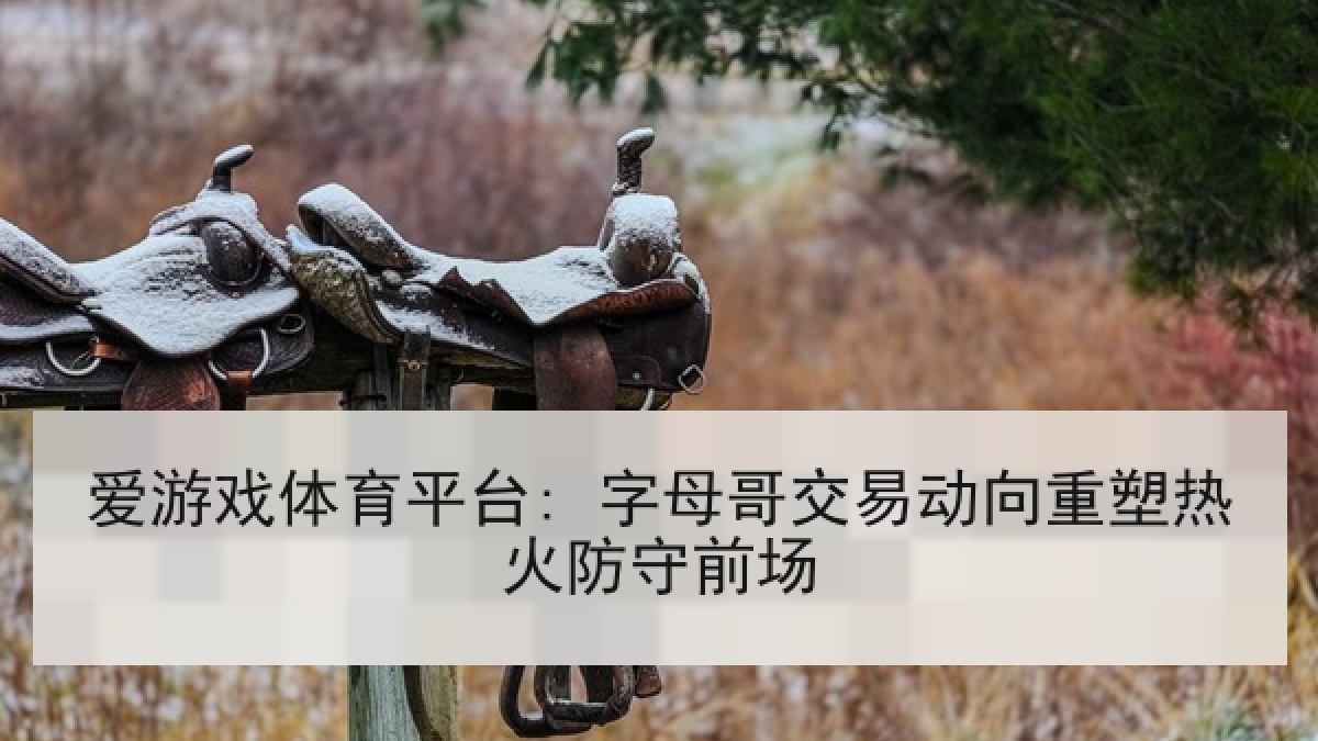 爱游戏体育平台: 字母哥交易动向重塑热火防守前场