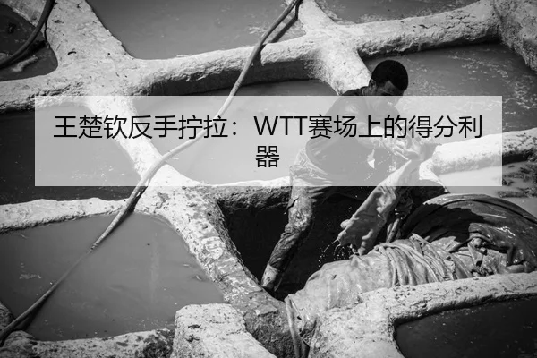 wang-chu-qin-fan-shou-ning-la-sai-chang-shang-de-de-fen-li-qi-1-204.jpg