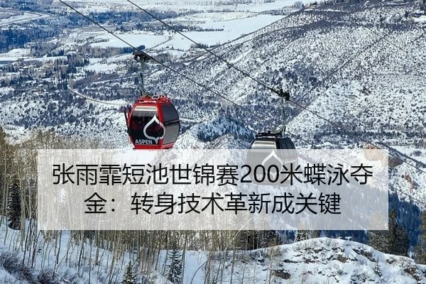 zhang-yu-fei-duan-chi-shi-jin-sai-mi-die-yong-duo-jin-zhuan-shen-ji-shu-ge-xin-cheng-guan-jian-3-712.jpg